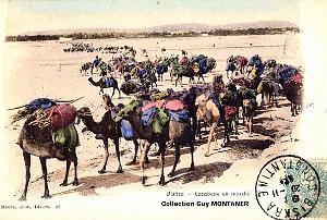 Biskra 03